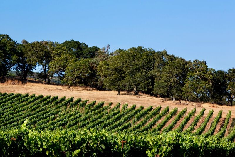 Napa Valley